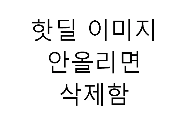 비즈 드라이 피케 폴로티