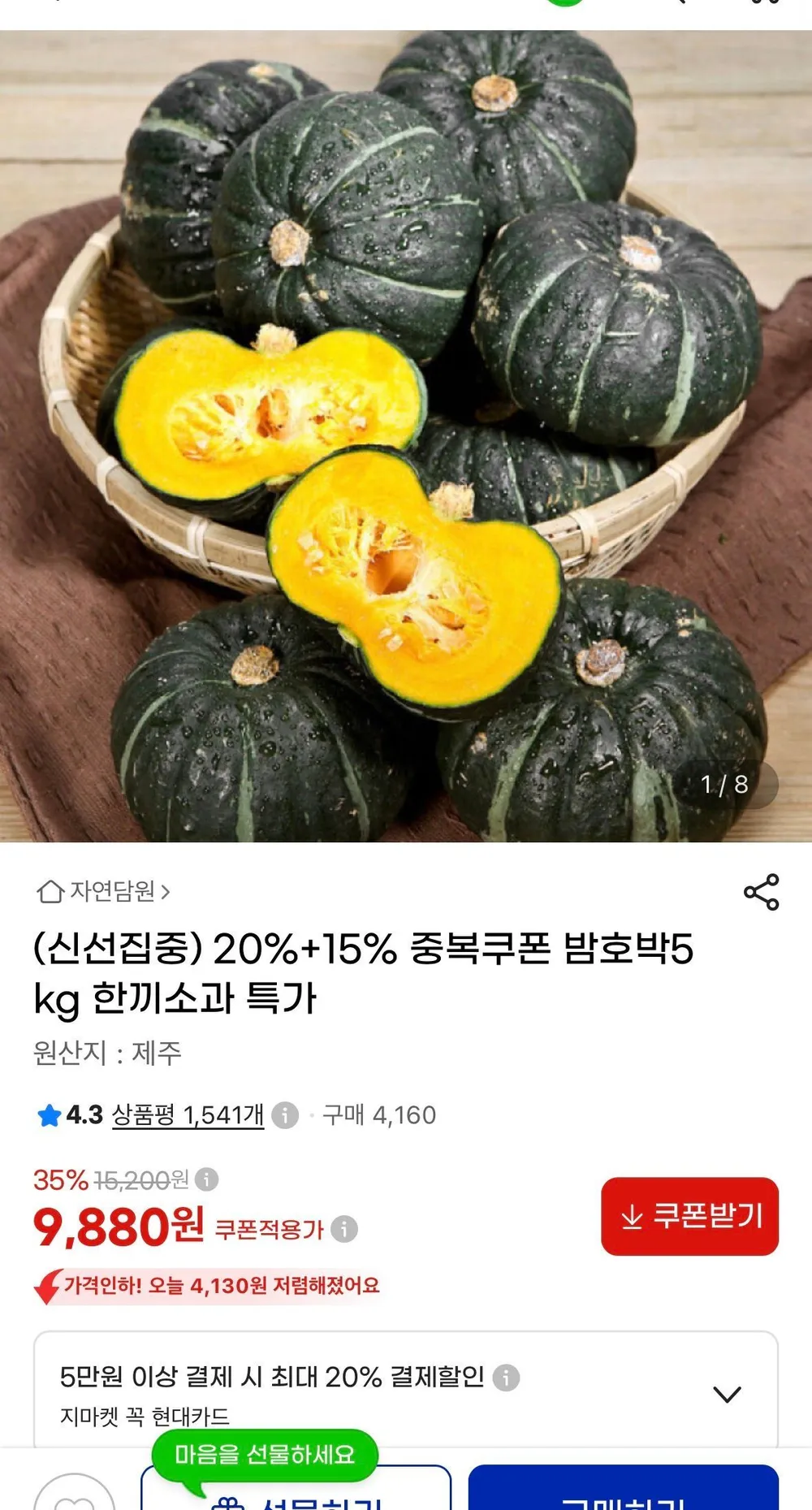 제주 밤호박 5kg 소과