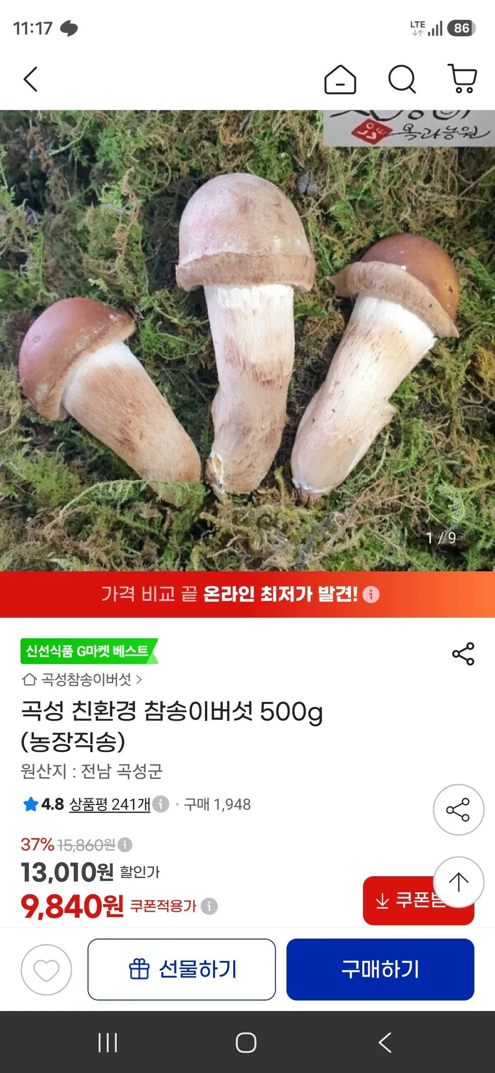 곡성 친환경 참송이버섯 500g