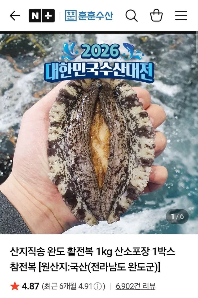 완도 활전복 1kg 11-12미 네멤