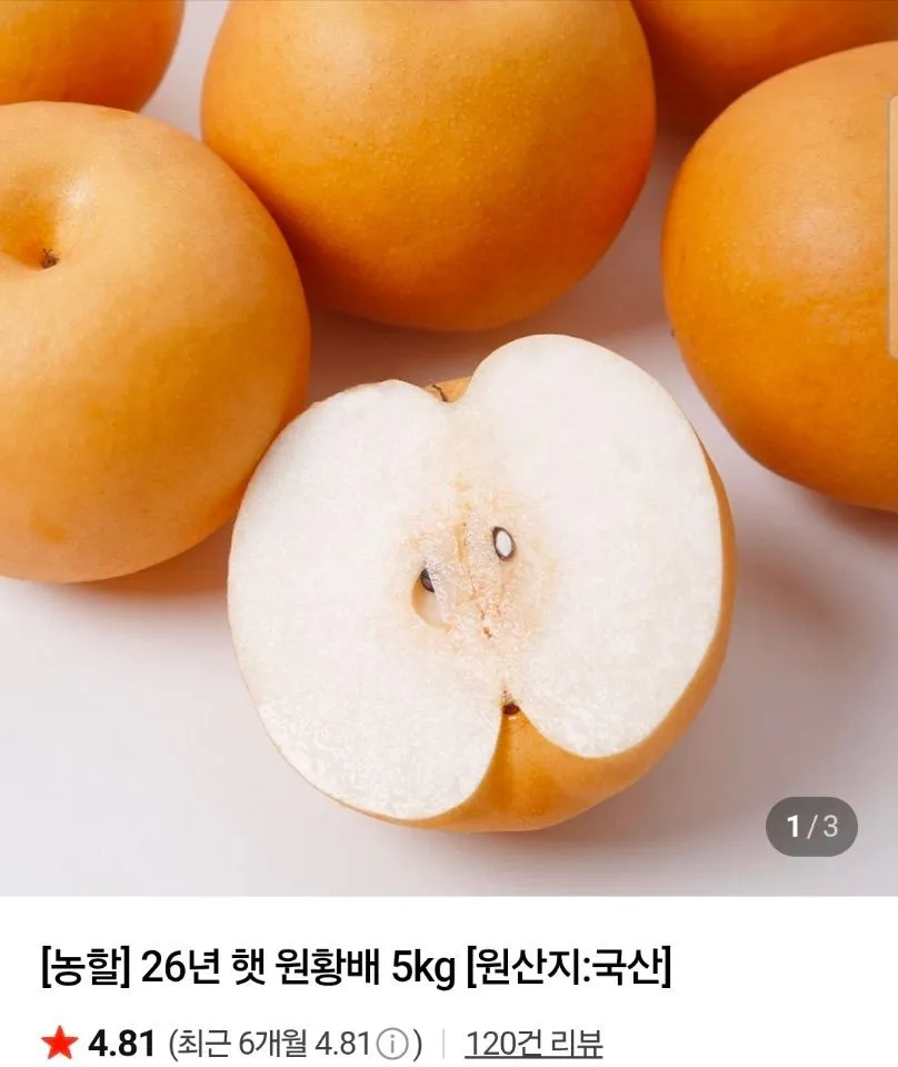 26년 갓 딴 나주햇배 3kg