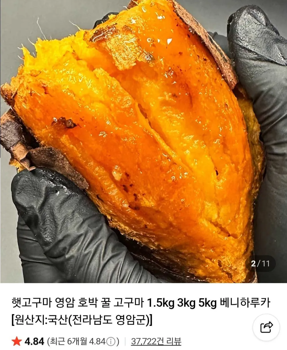 햇 호박고구마 밤고구마 1.5kg 특상