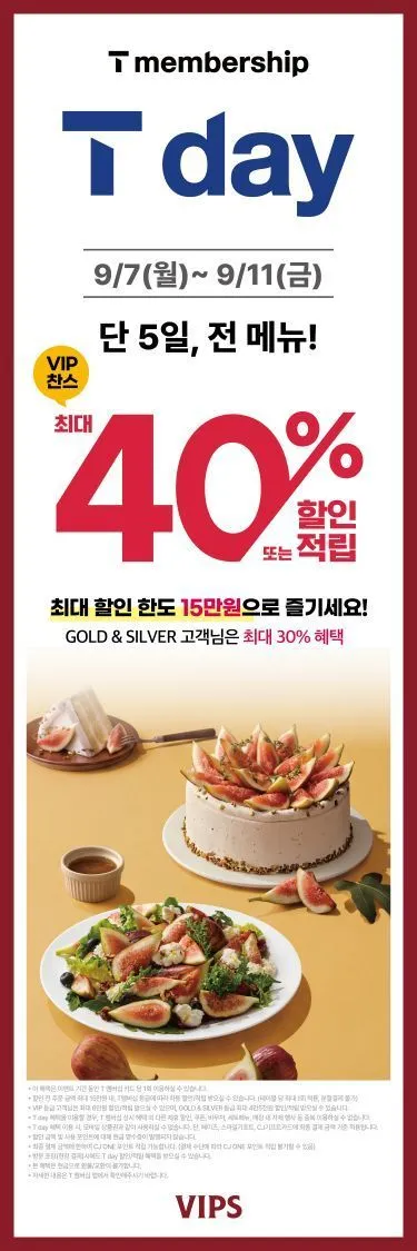 티멤) 5일간 빕스 30-40% 할인