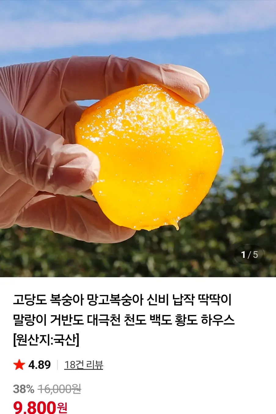 망고복숭아 1.5kg 대과 10-12과