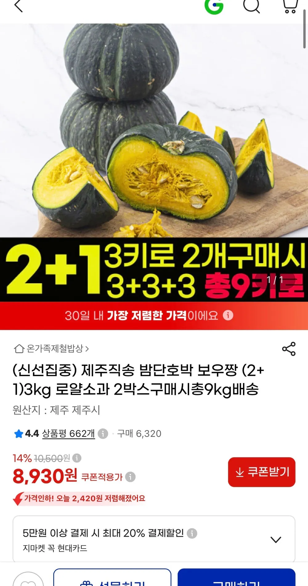 제주 밤단호박 보우짱 3kg