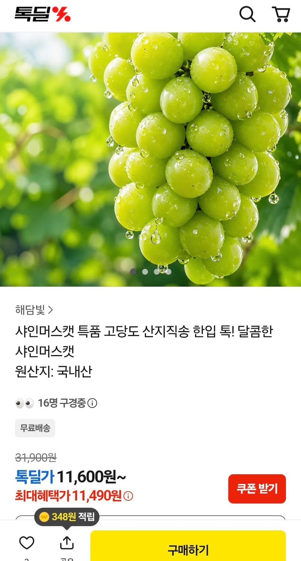 샤인머스켓 특품 고당도 1kg 2수