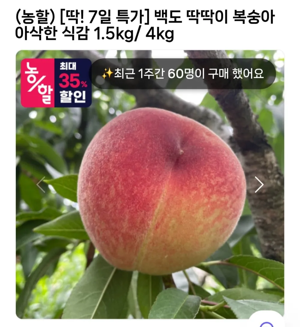 백도 딱딱이 복숭아 1.5kg