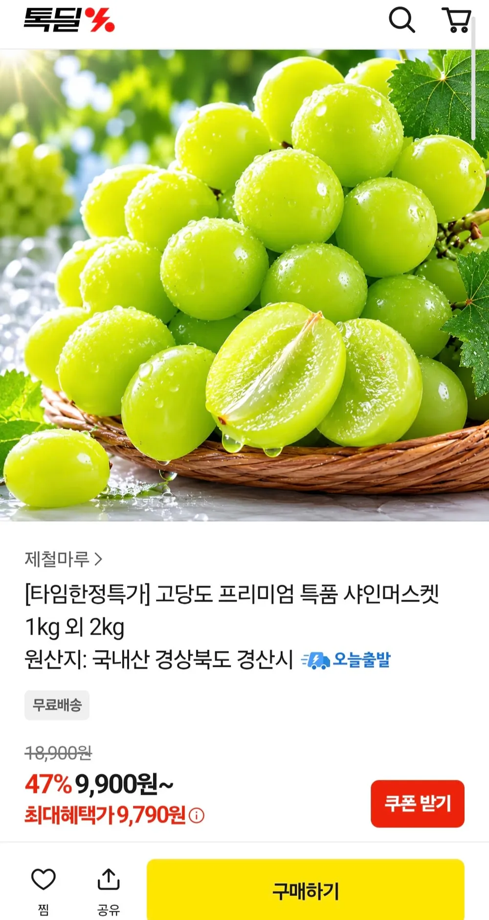고당도 특품 샤인머스켓 1kg