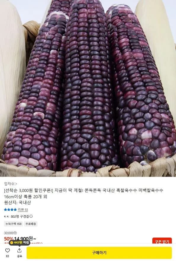 국내산 흑찰옥수수 16cm이상 특품 20개