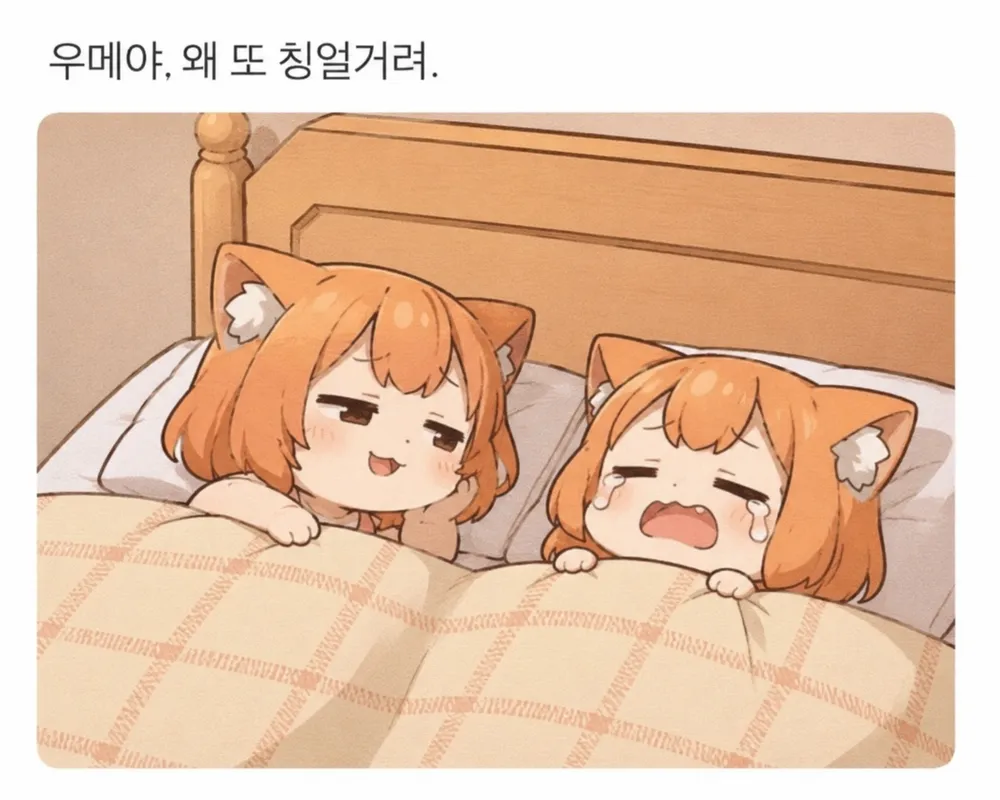 2026-08-27 일일적립, 클릭