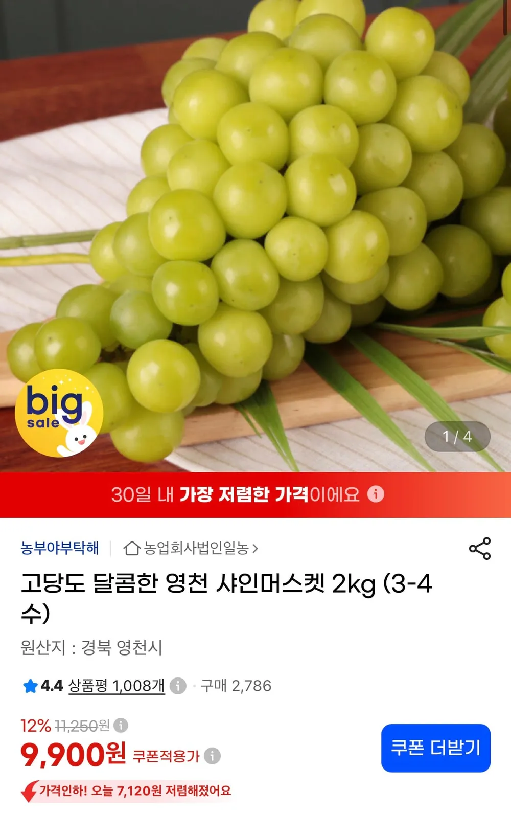 영천 고당도 샤인머스켓 2kg (3-4수)