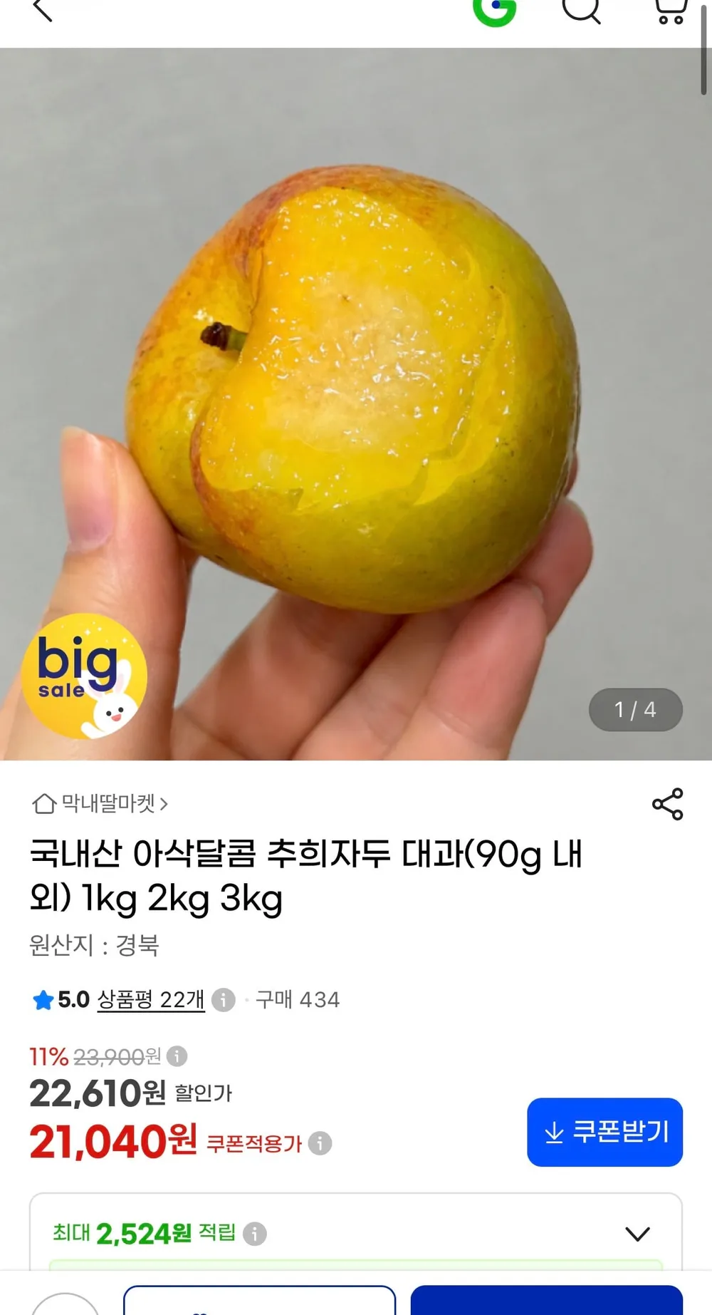 추희자두 대과 (개당 90g 내외) 3kg