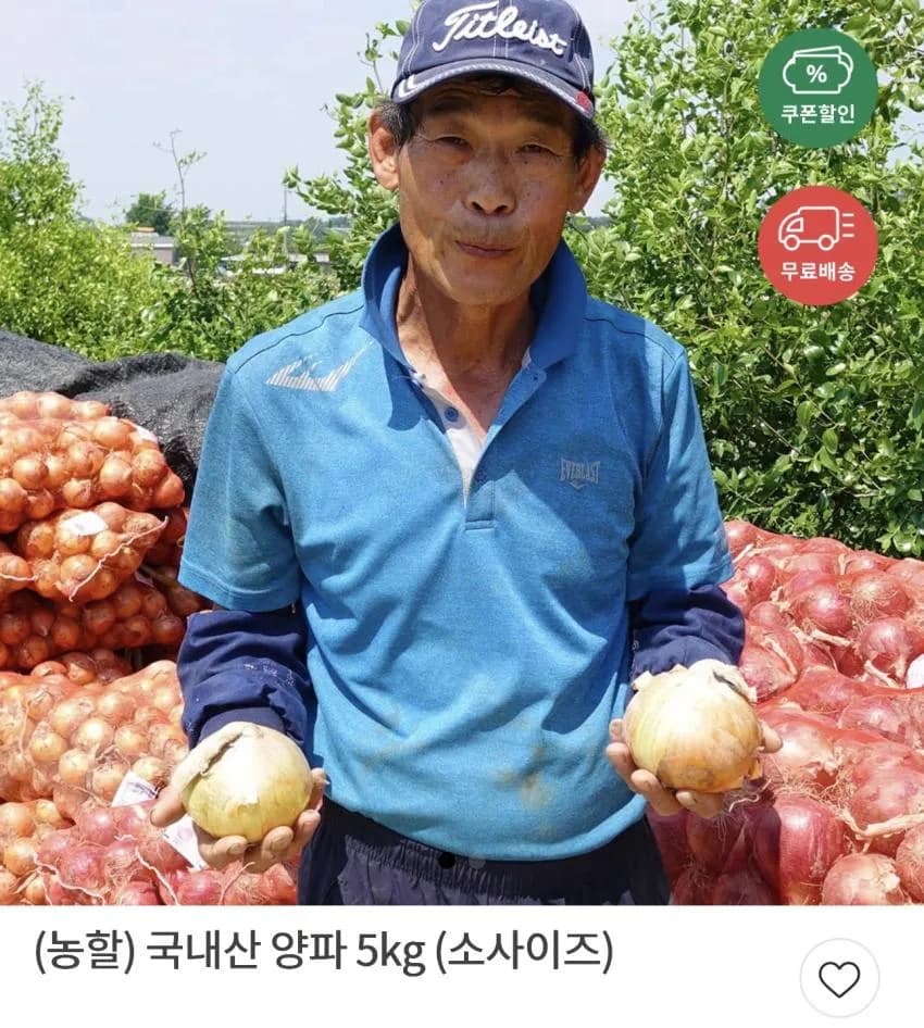 국내산 양파 5kg (소사이즈)