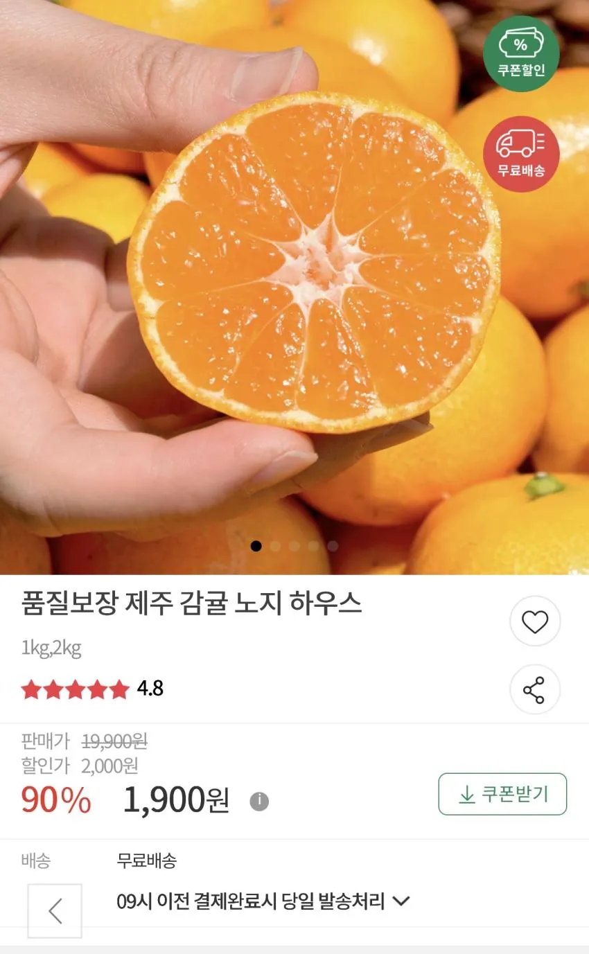 제주 노지감귤 1kg