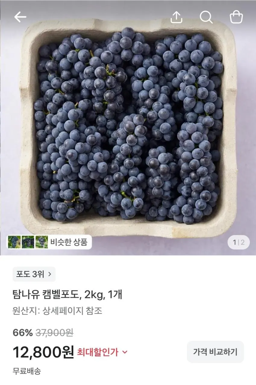 탐나유 캠벨포도 2kg,
