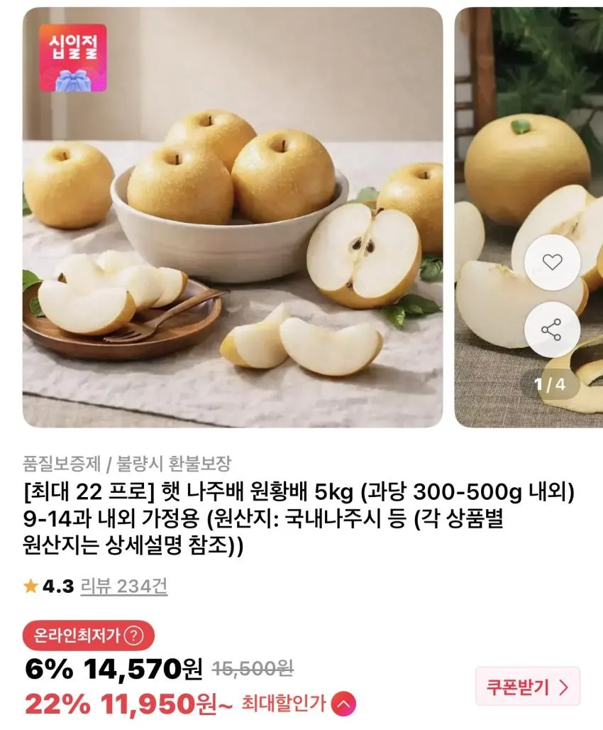 햇 나주배 5kg 9-14과 내외