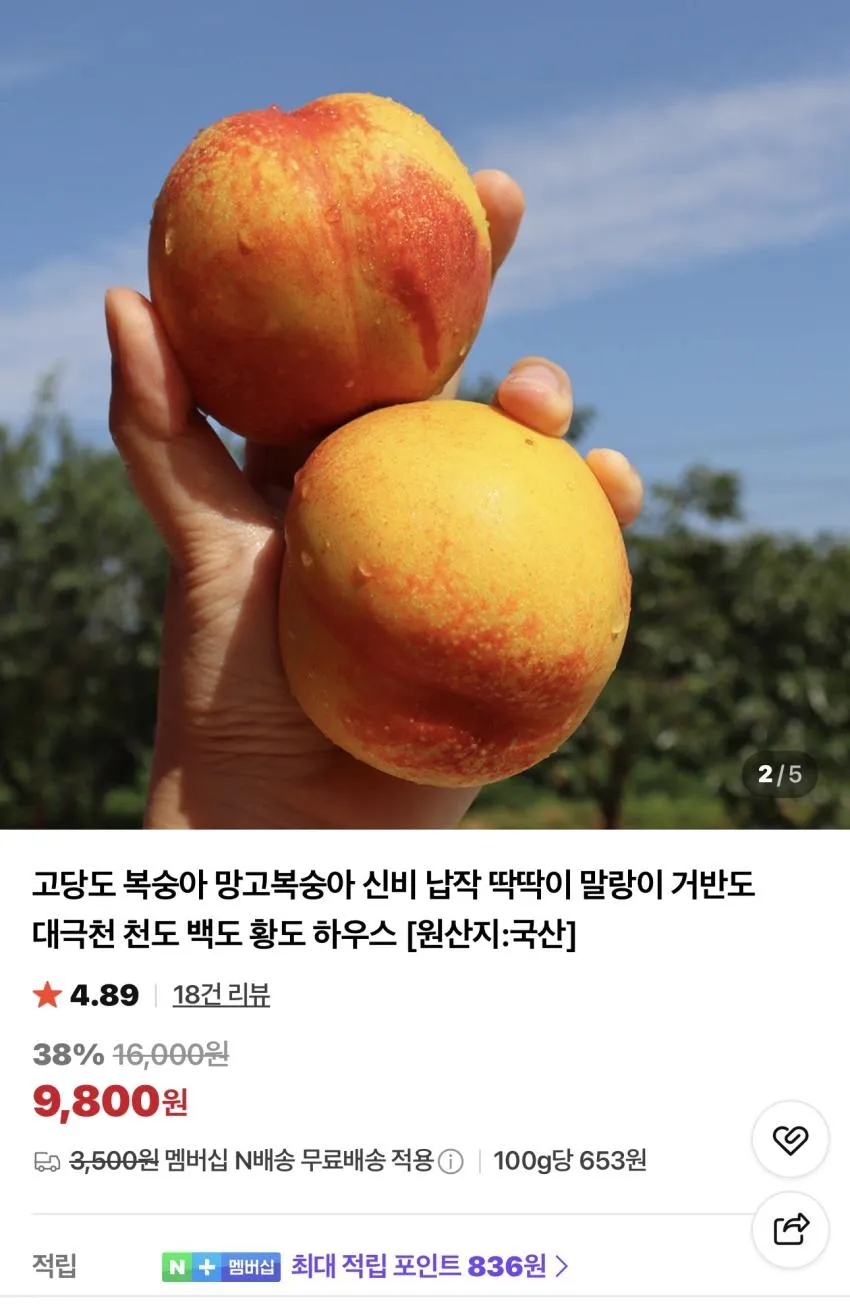 망고복숭아 1.5kg 10~12과