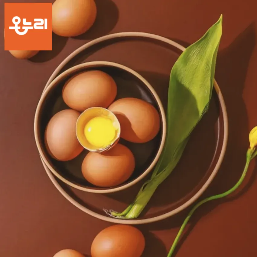 국내산 난각번호 1번 방사 유정란 20구 파손보장