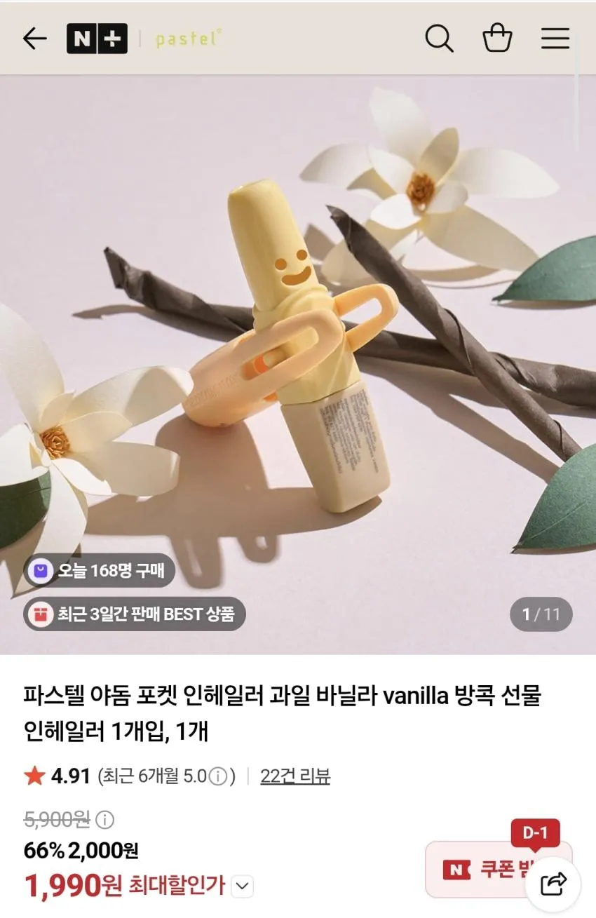 파스텔 야돔,