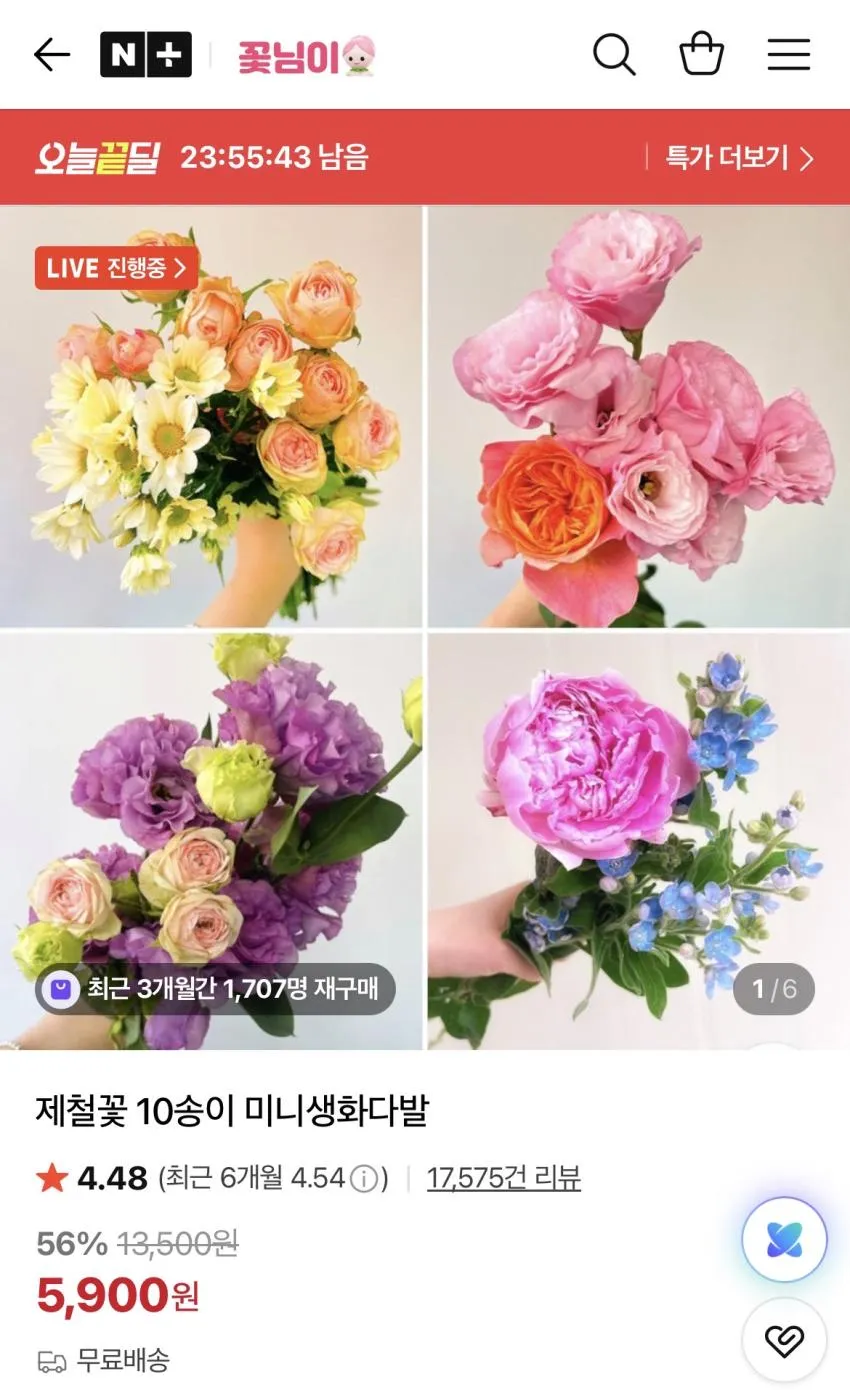 제철꽃 10송이 미니생화다발