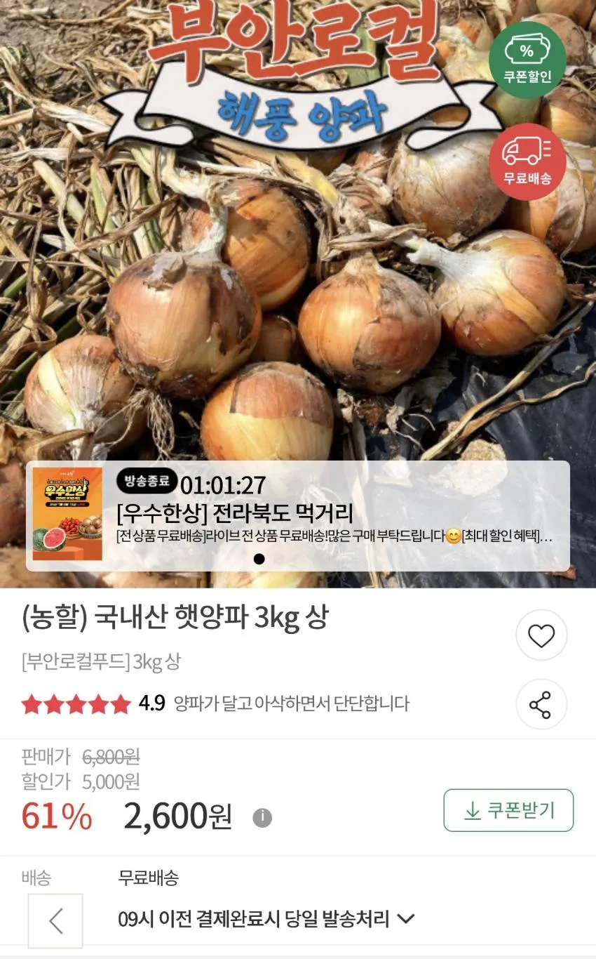 국내산 햇양파 3kg 상
