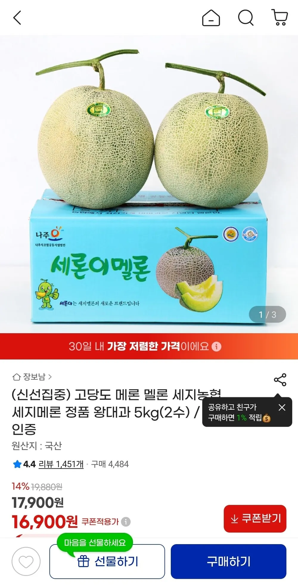 세지멜론 왕대과 5kg 2수