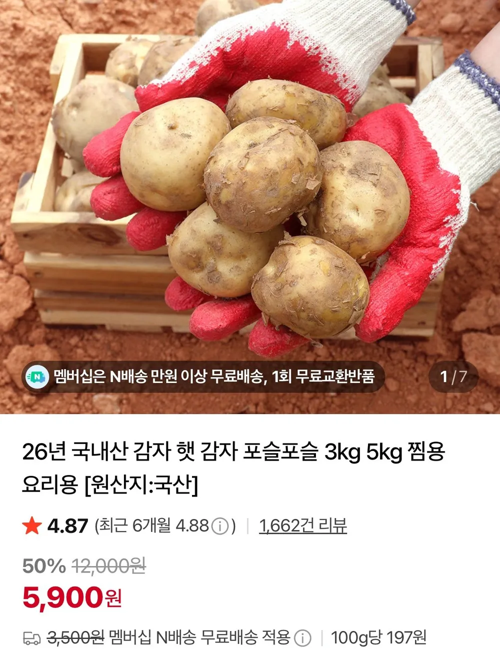 26년 국내산 햇감자 왕특 3kg