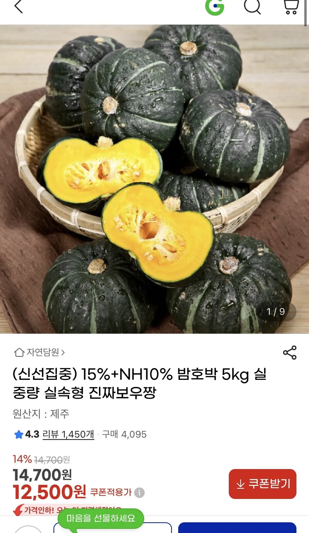 밤호박 보우짱 5kg
