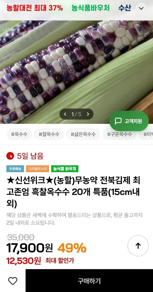 무농약 흑찰옥수수 20개 특품