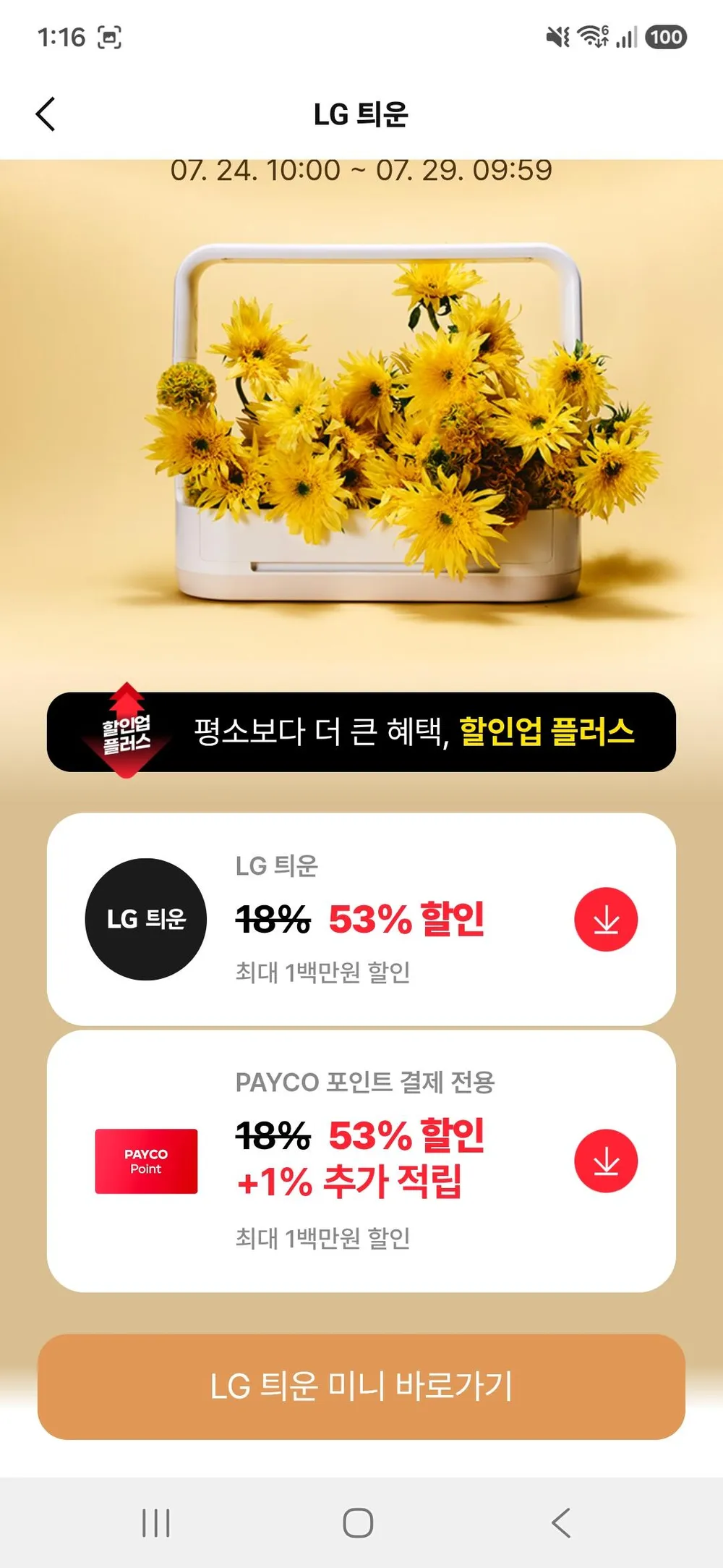 틔운 미니+씨앗키트+영양제+꽃구독권