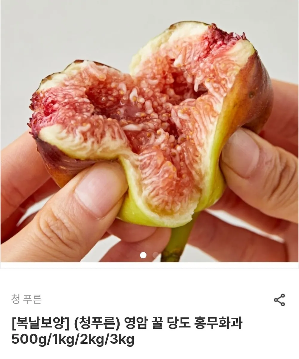 영암 홍무화과 2kg