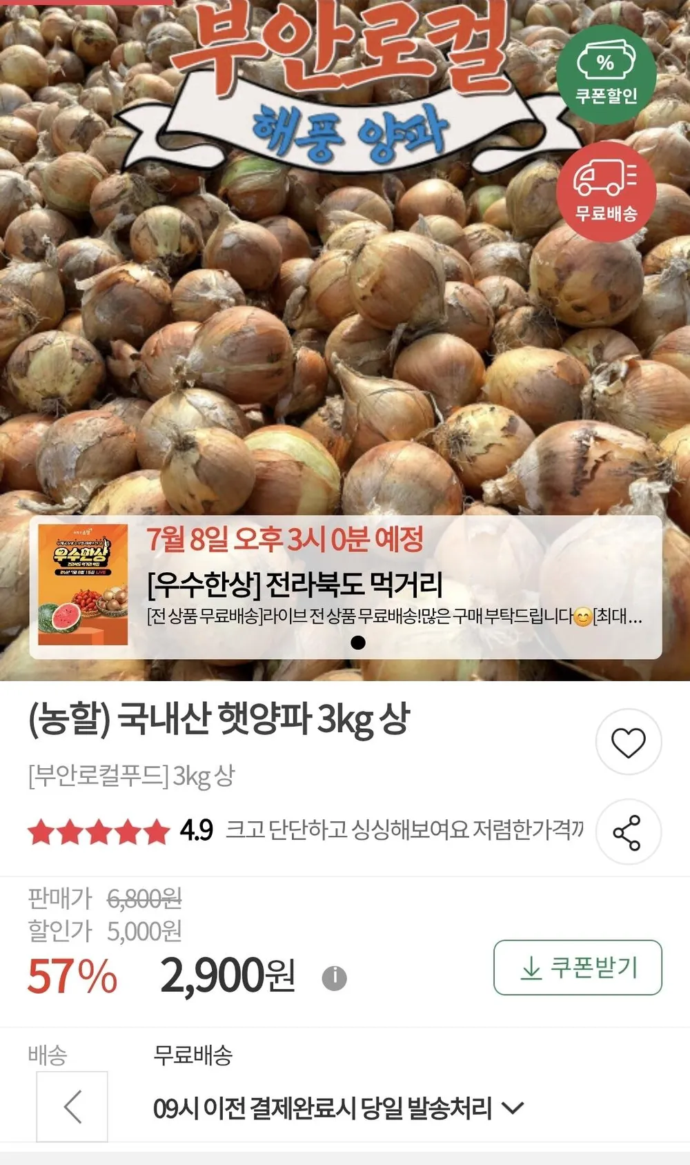 국내산 햇양파 3kg 상