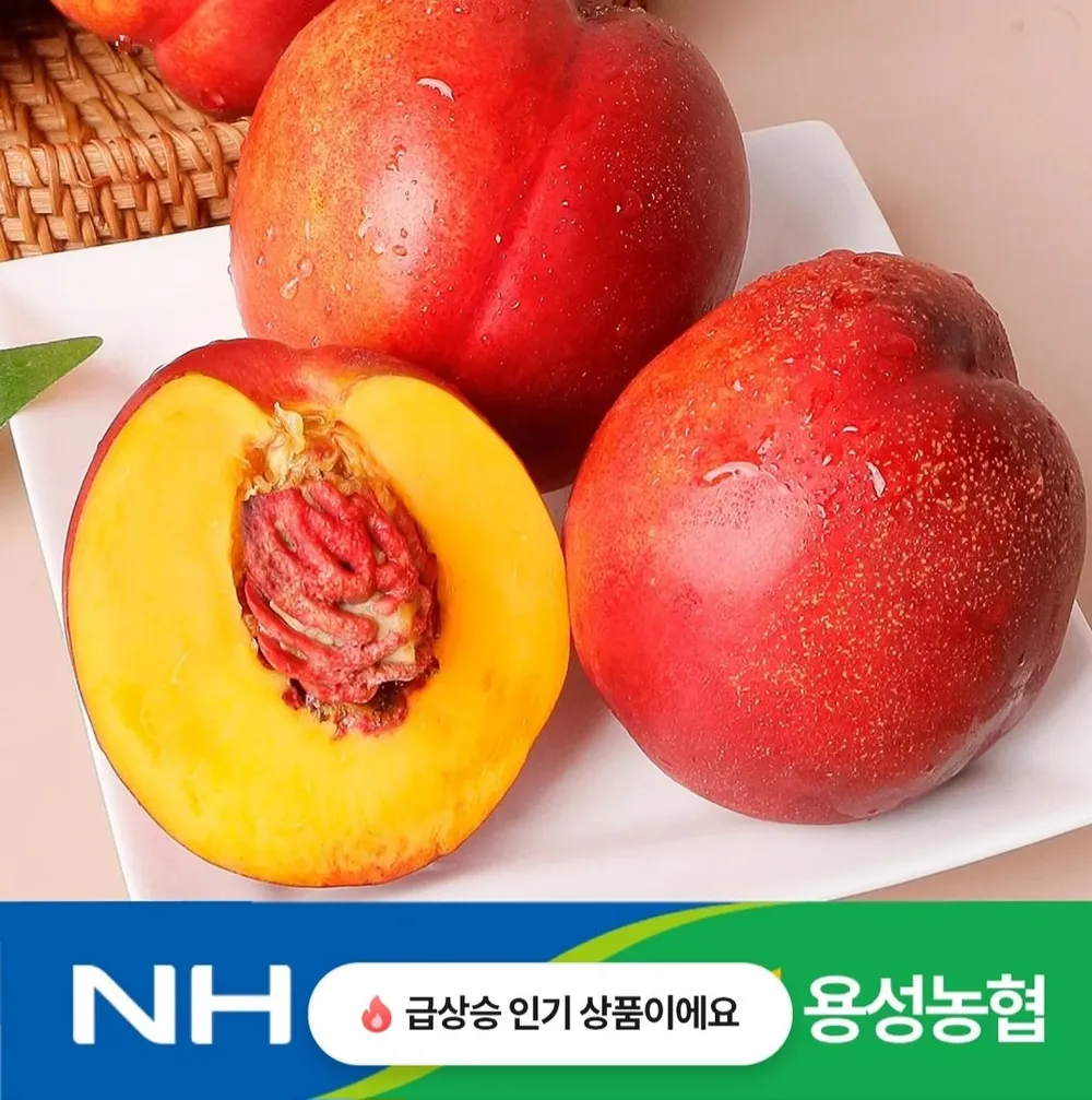 국내산 천홍 천도복숭아 대과 2kg