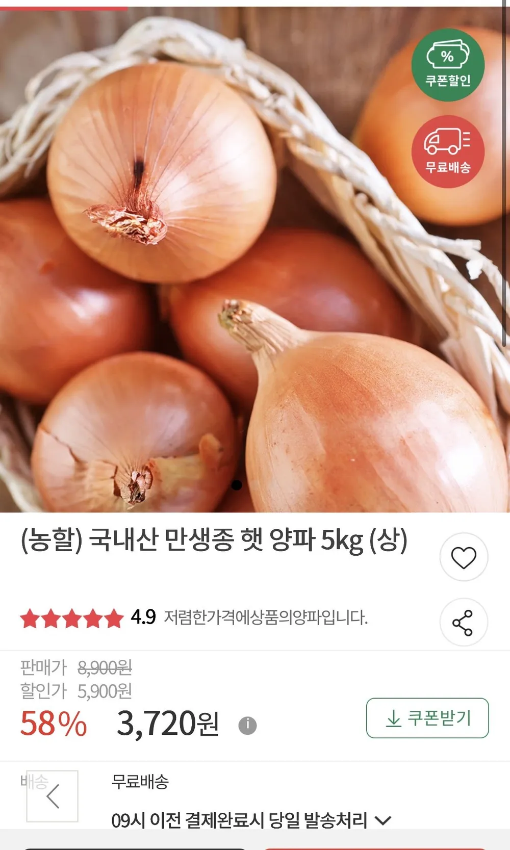 양파 상5kg