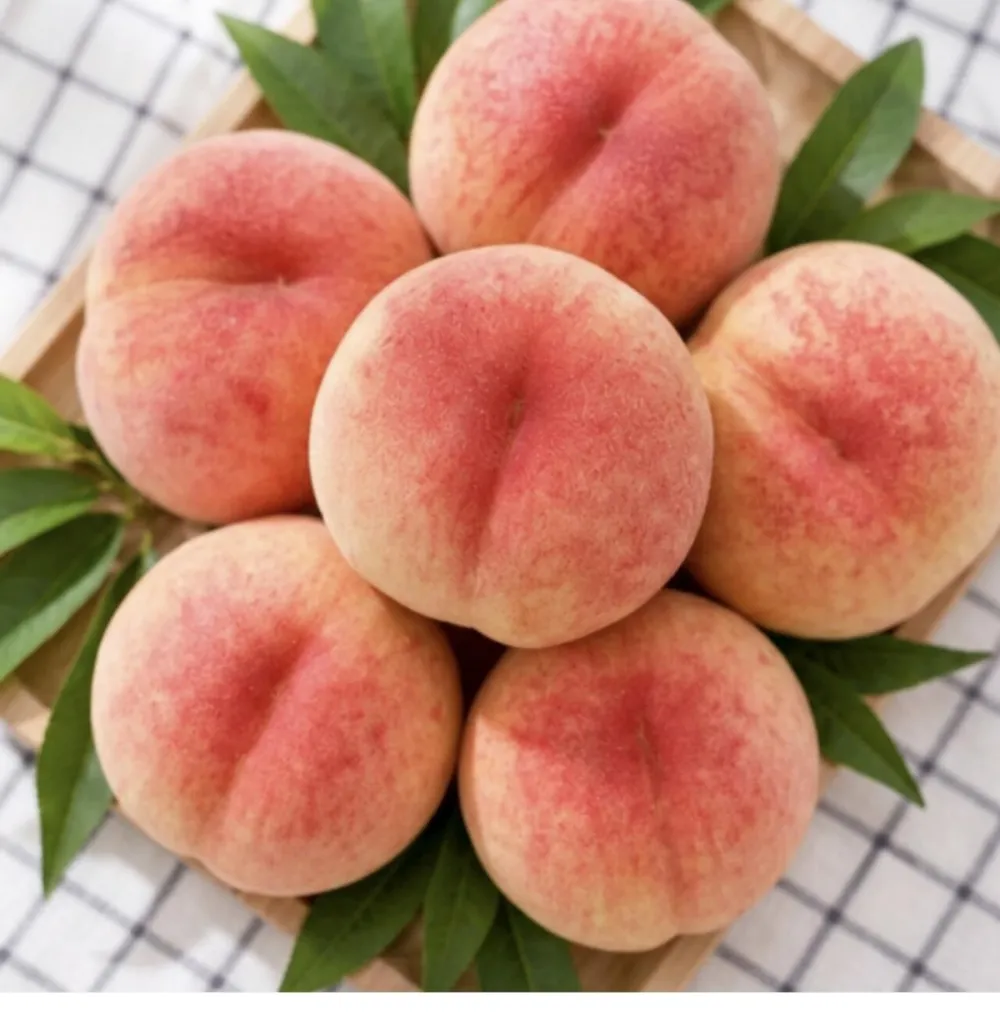 경봉복숭아 3kg