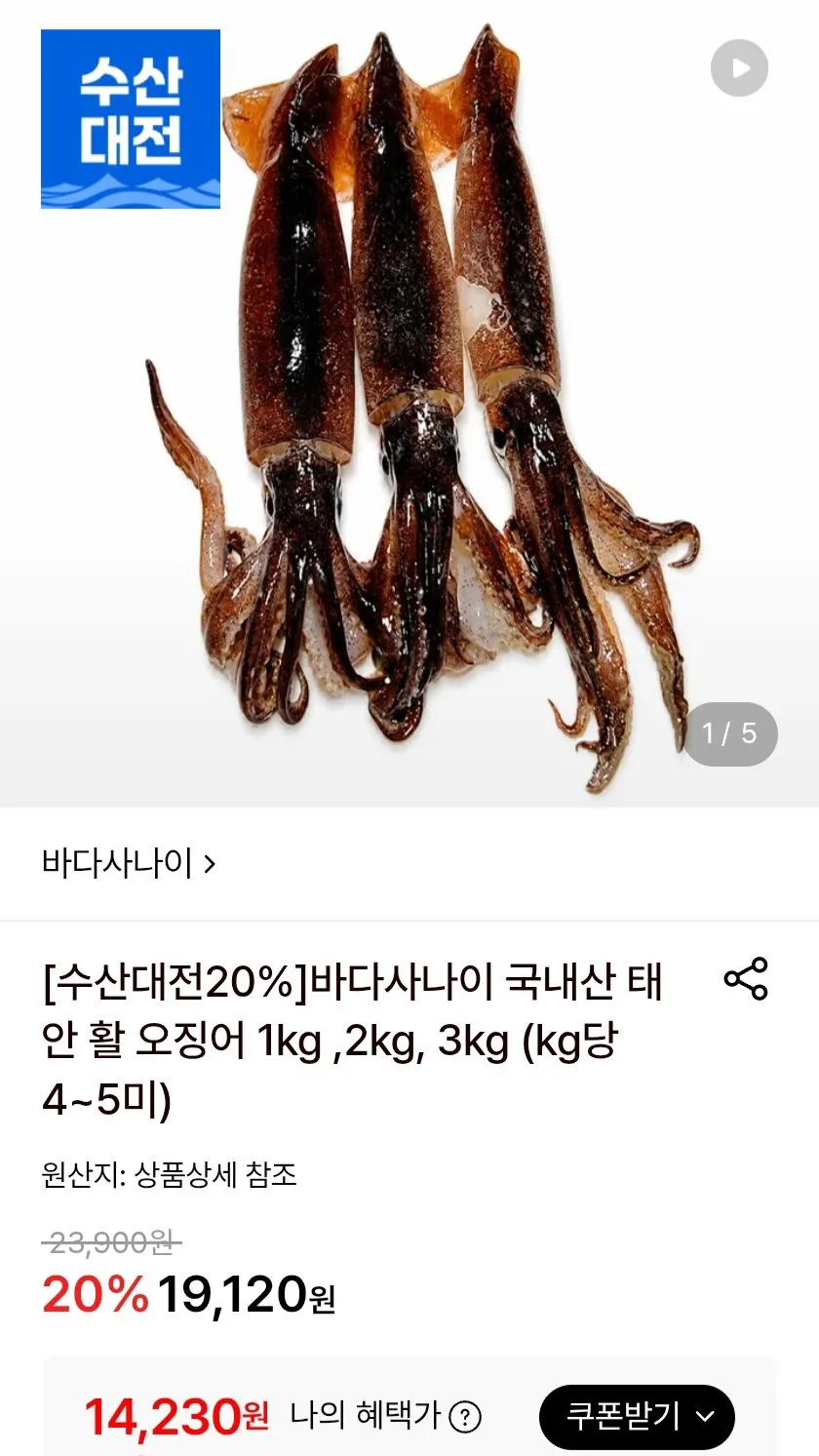 국내산 태안 활 오징어 1kg 4-5미