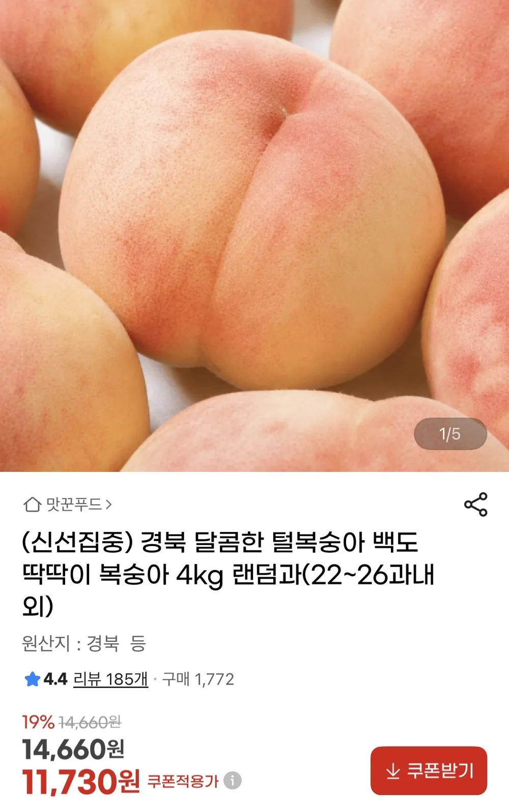 딱딱이 백도복숭아 4KG