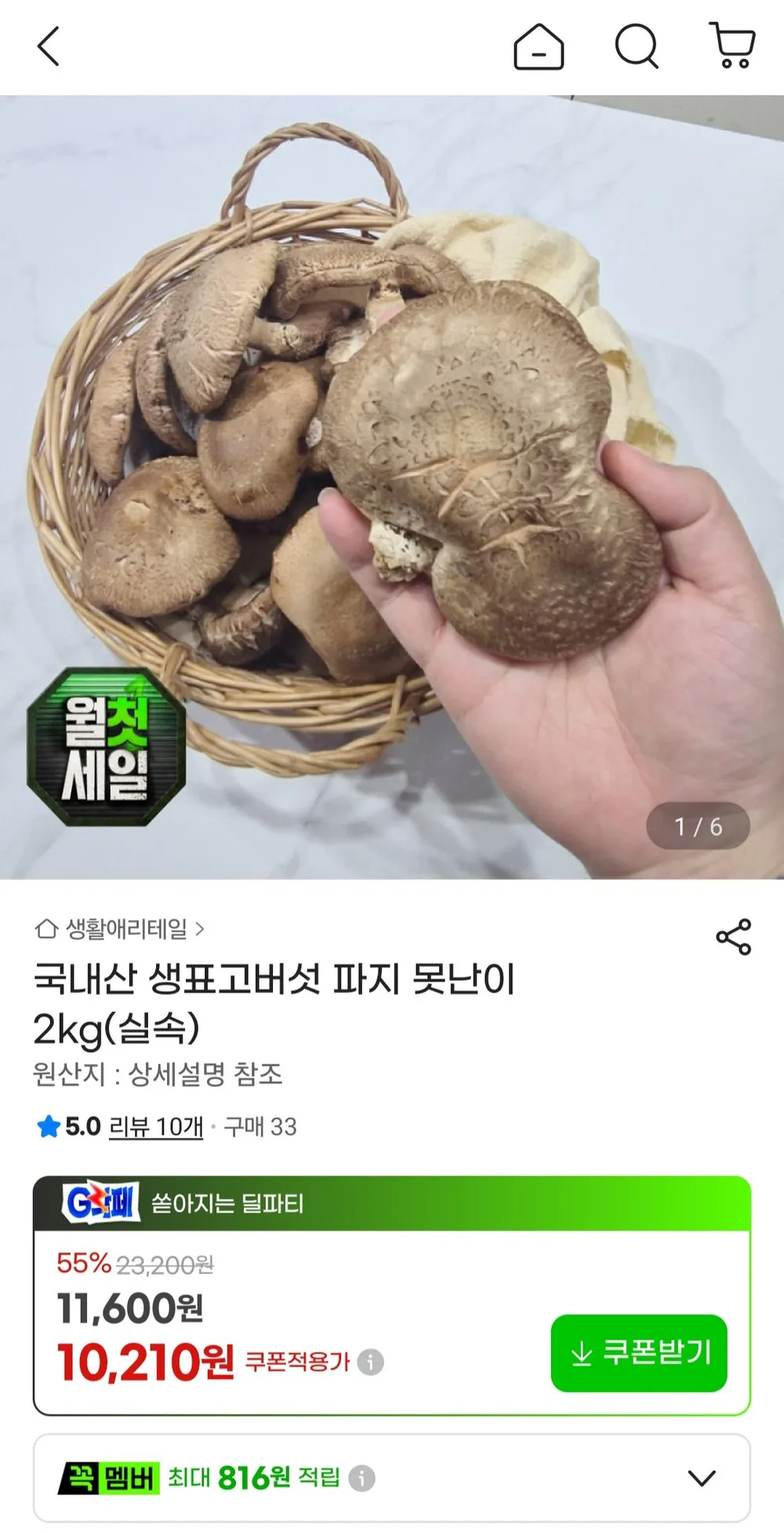 국내산 생표고버섯 2kg 파지