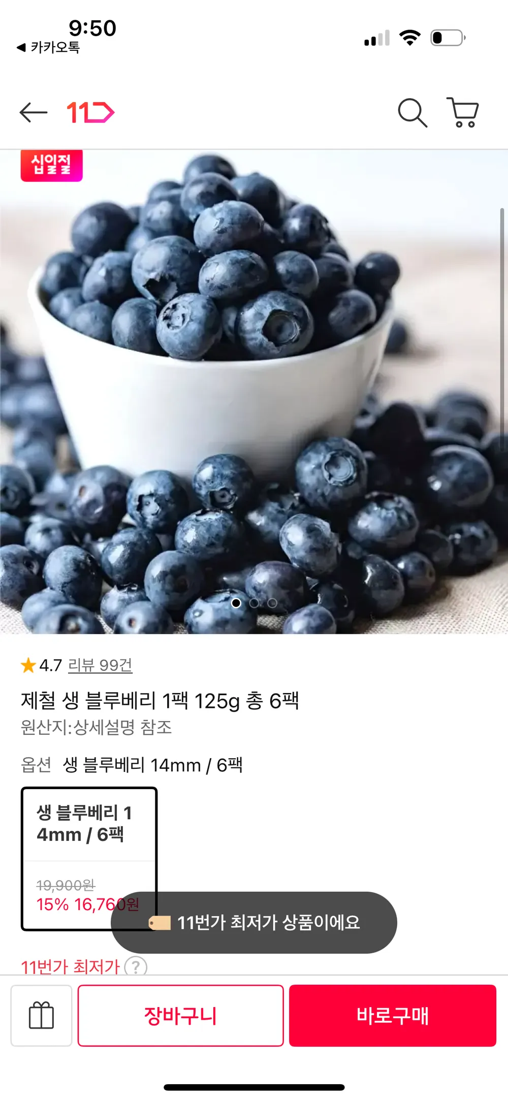 생 블루베리 6팩
