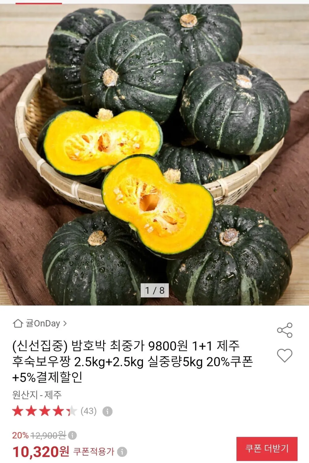 제주 밤호박 5kg