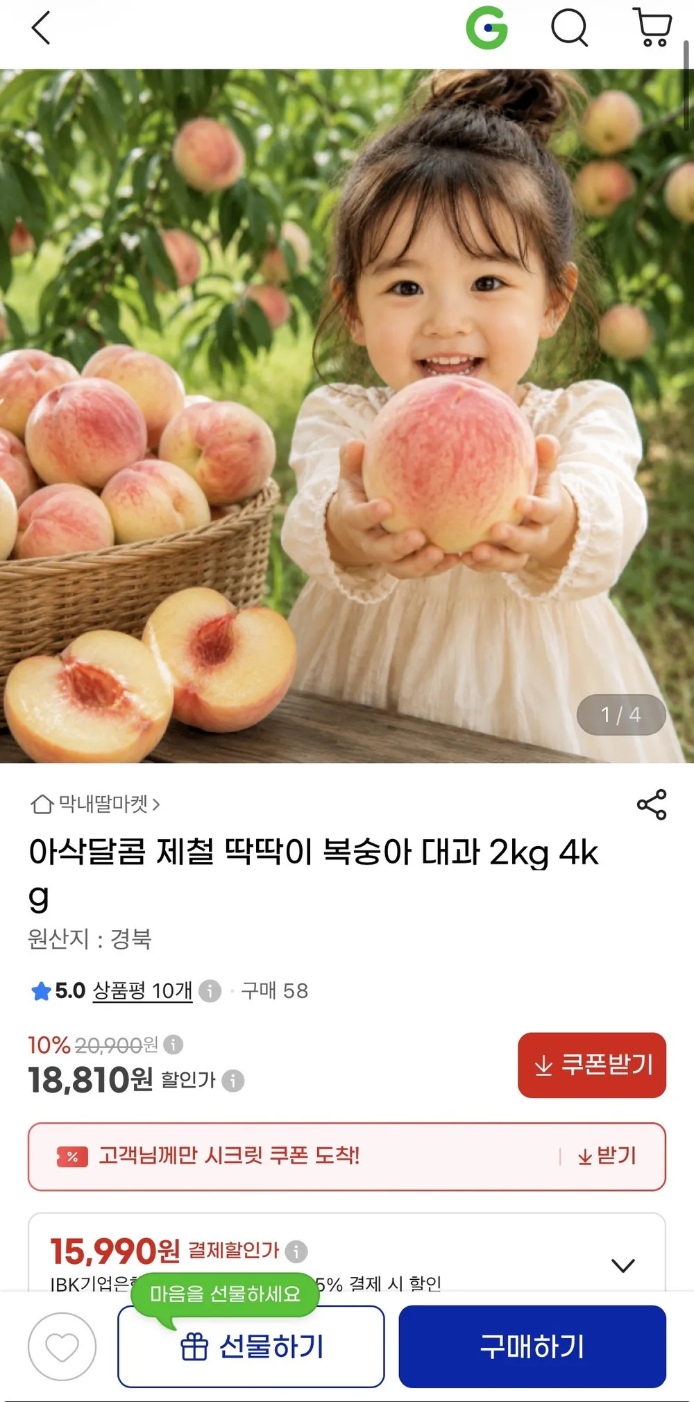 제철 딱딱 복숭아 대과 2kg