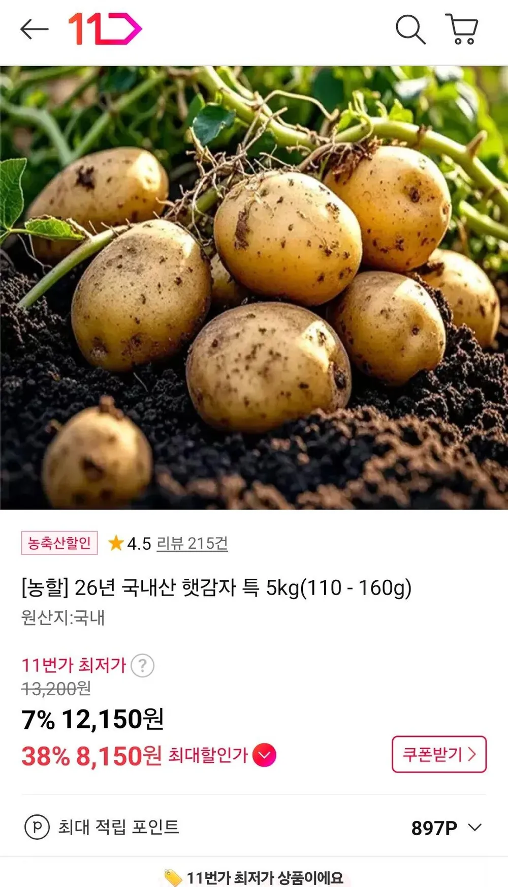 온누리가능) 햇감자 특 5kg