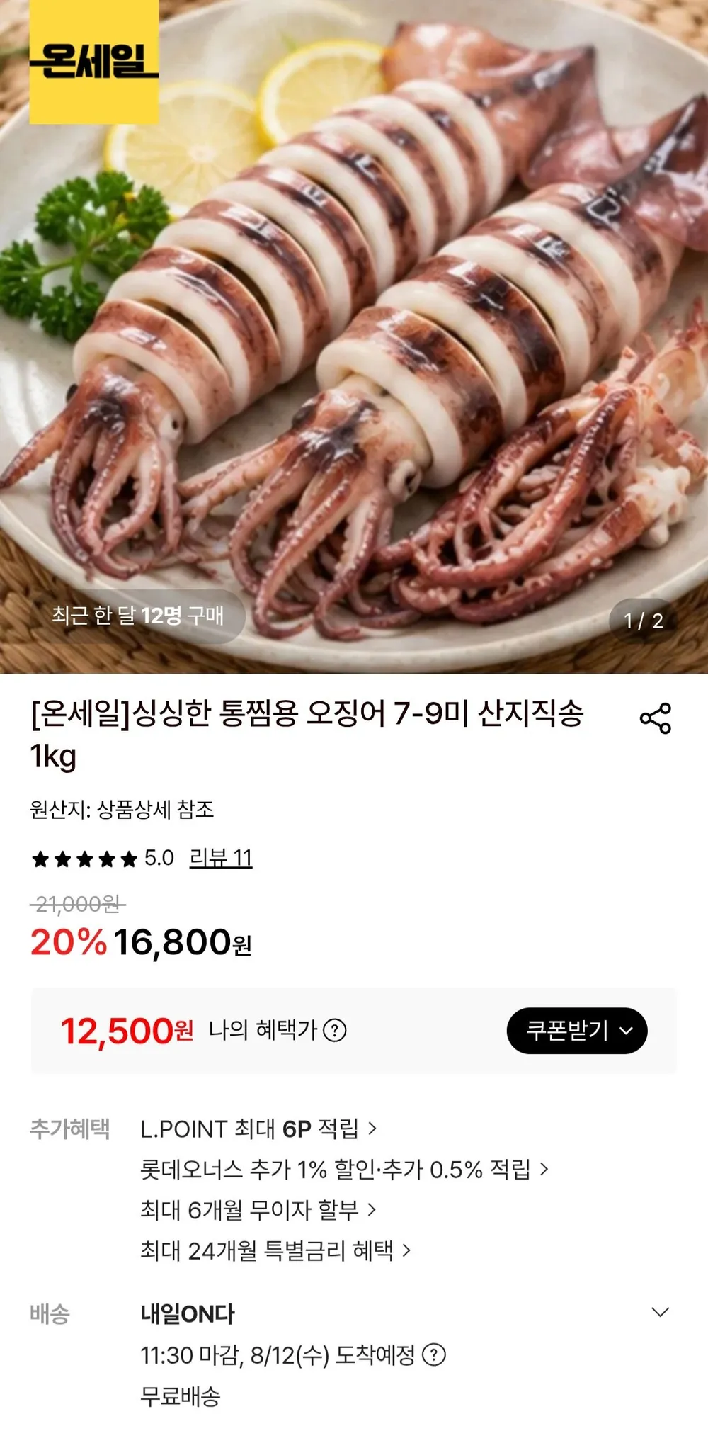 통찜용 오징어 1kg