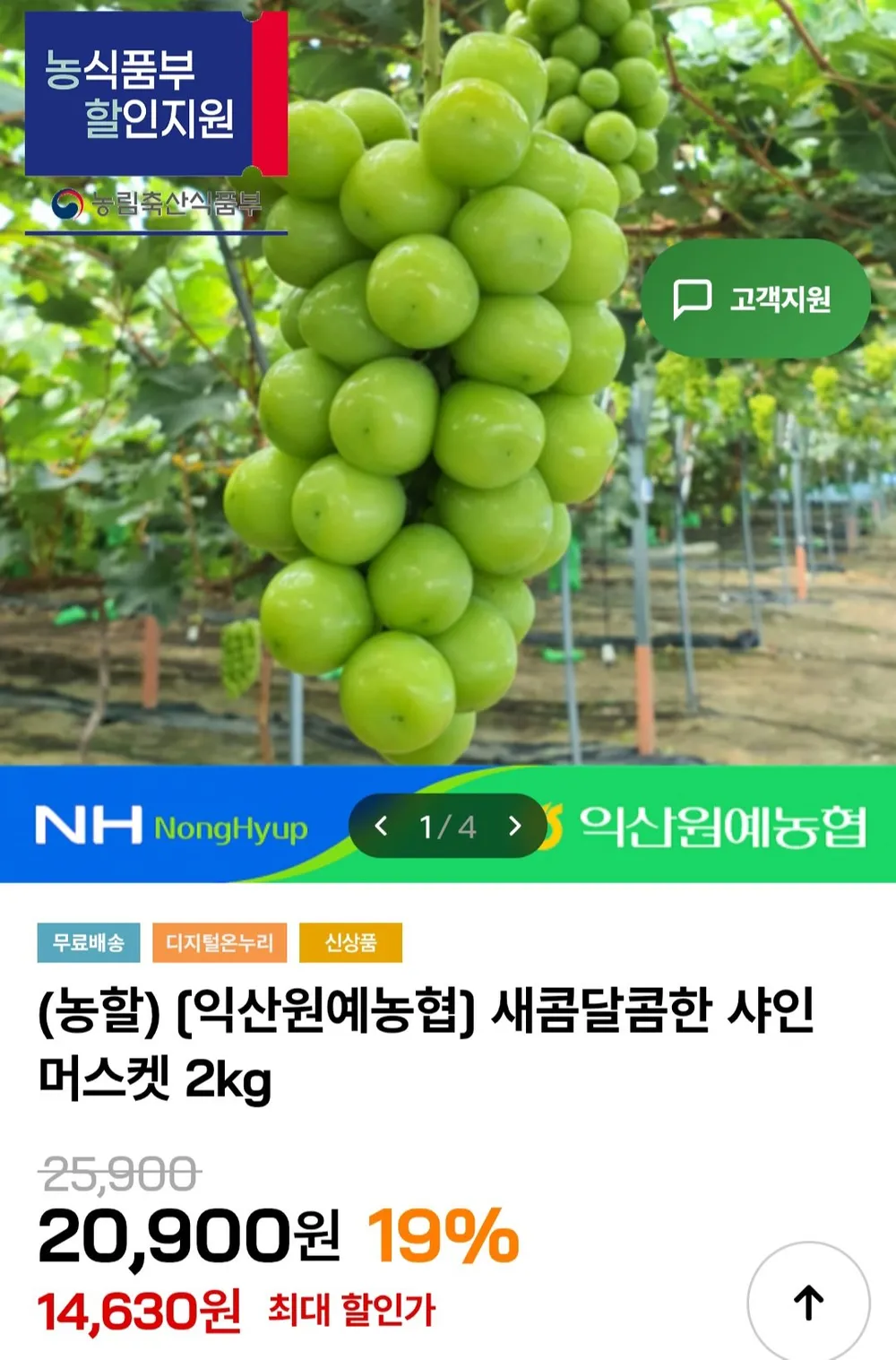 익산원예농협 새콤달콤한 샤인머스켓 2kg
