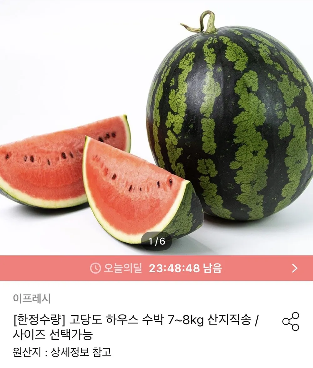 가정용 하우스 수박 7~8kg