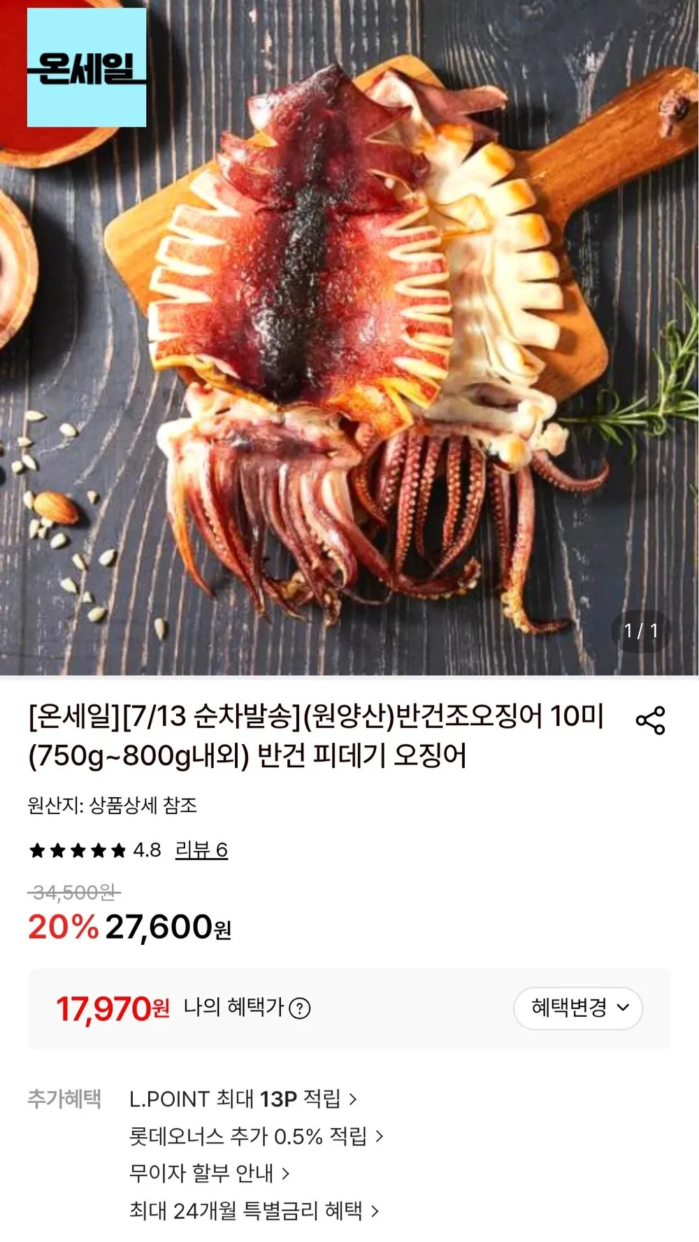 반건조 오징어 10미
