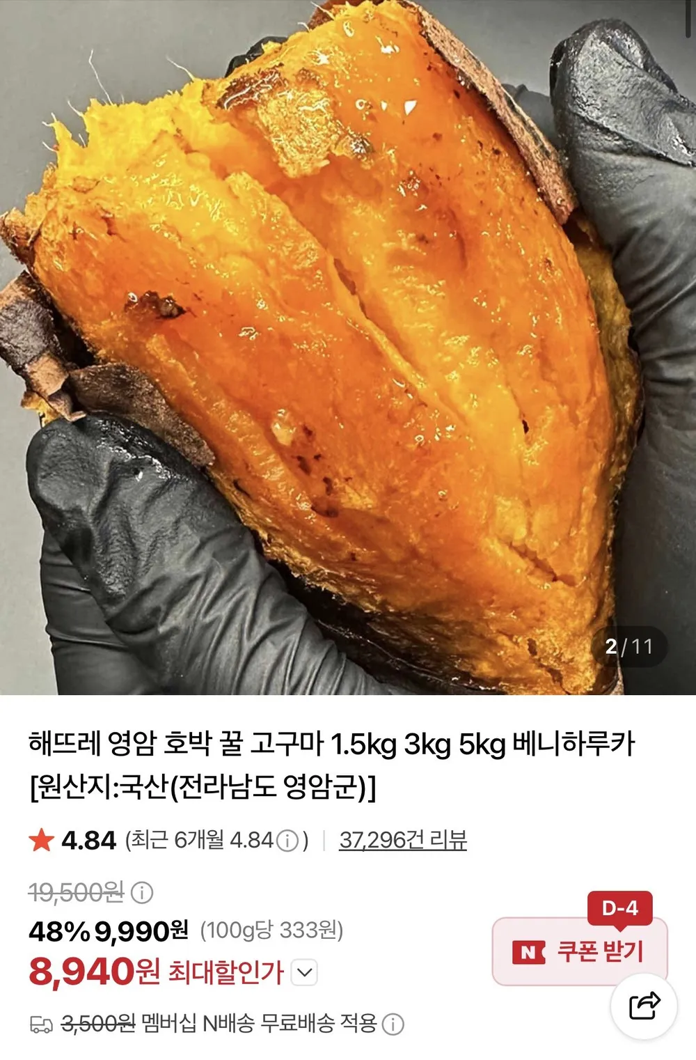 영암 호박 꿀고구마 1.5kg