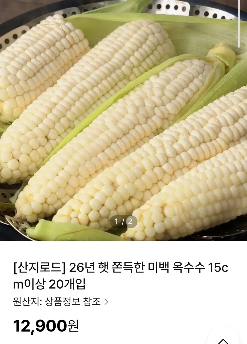 26년 햇 미백 옥수수 20개입