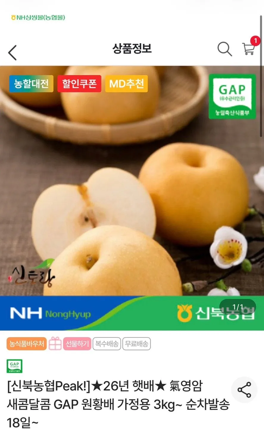 26년 영암 햇배 원황배(가정용) 3kg 6-7과 중소과