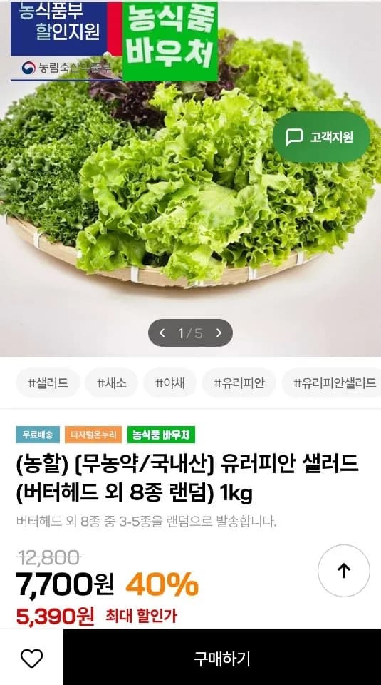 유러피안 샐러드 (버터헤드 외 8종 랜덤) 1kg